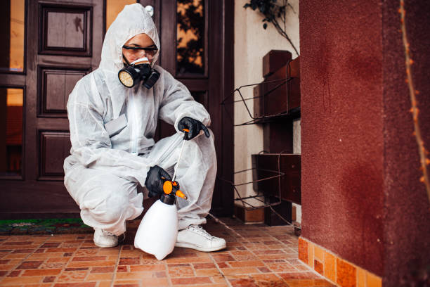 Reliable Cockroach Control contractor in Mounds View, MN by Nex Pest Control